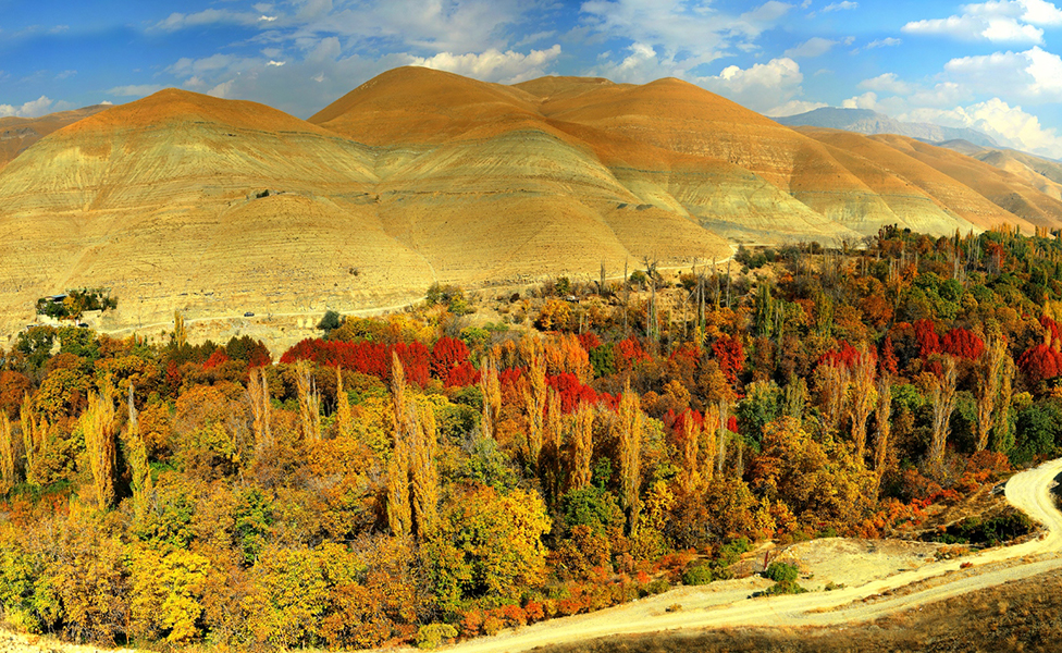 تور روستای برغان
